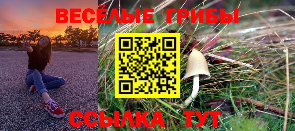 Галлюциногенные грибы мицелий  Вход с VPN  Галлюциногенные грибы MAGIC MUSHROOMS  Ипатово 