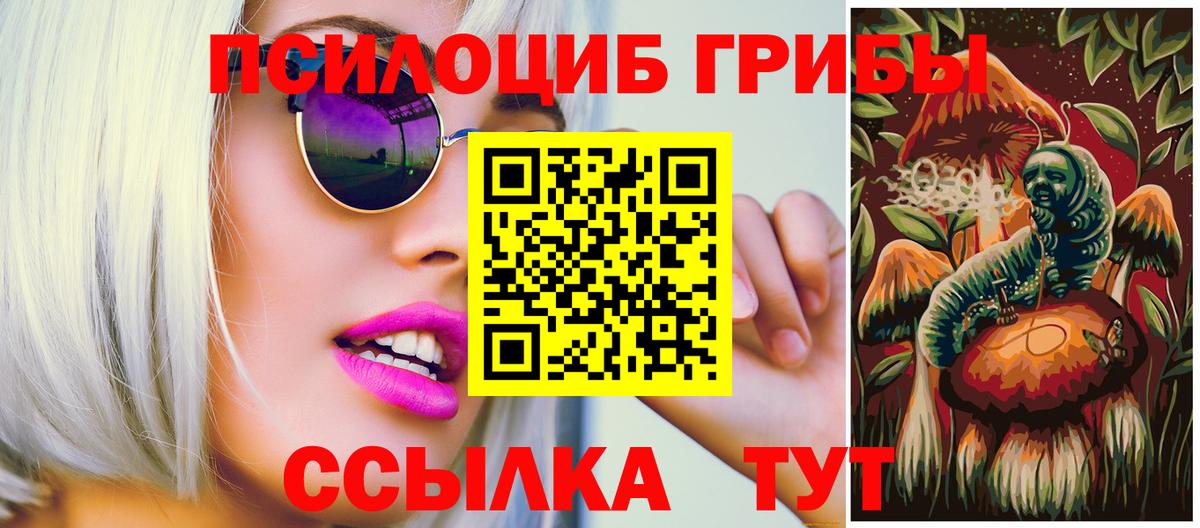 Псилоцибиновые грибы прущие грибы Ипатово